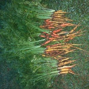 Meet your Posher, Christy